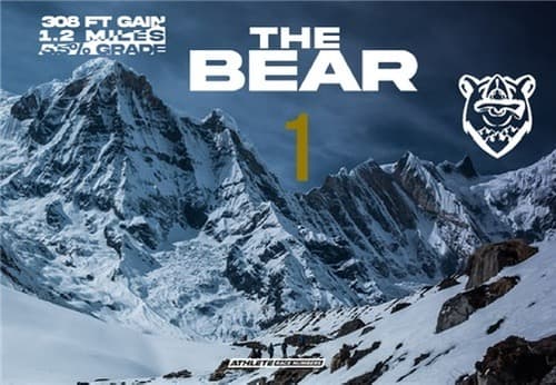 The Bear race bib graphic